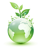 We Clean Green